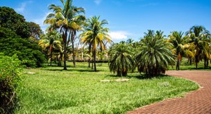 Lush Green Parks & Reflexology Paths